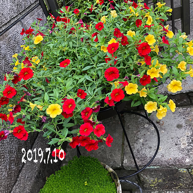 yukariさんの実例写真