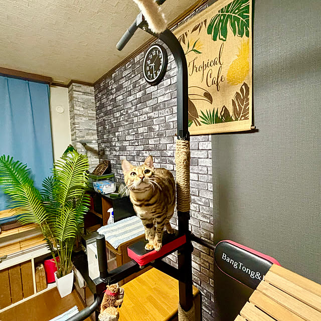 tututu0204さんの部屋