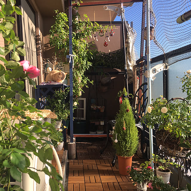 naokoさんの部屋