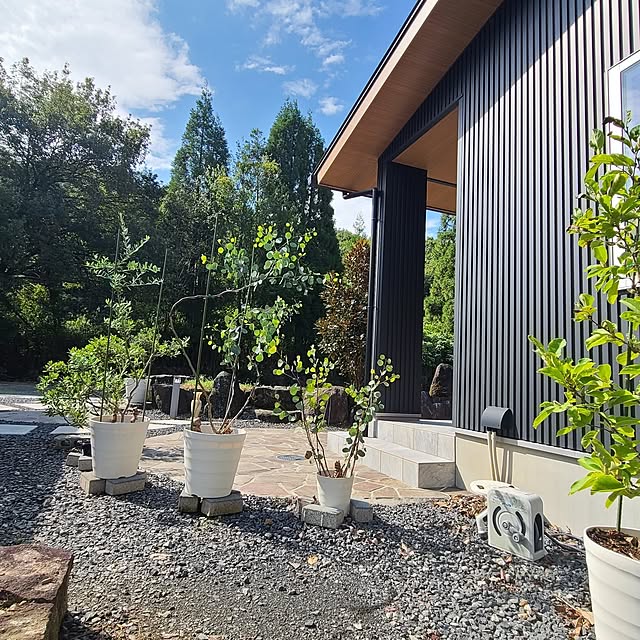 Rubiconさんの部屋