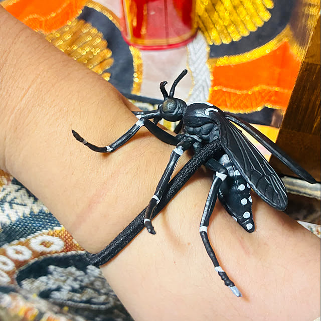 takakuzenさんの実例写真