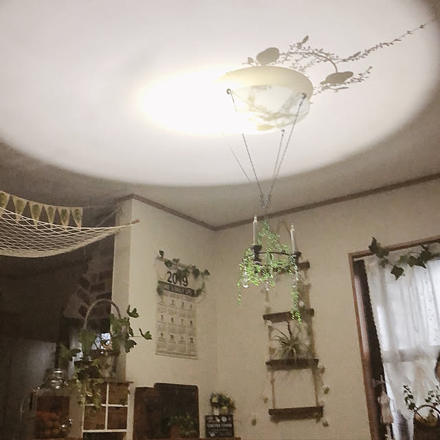 k.yuka29さんの実例写真