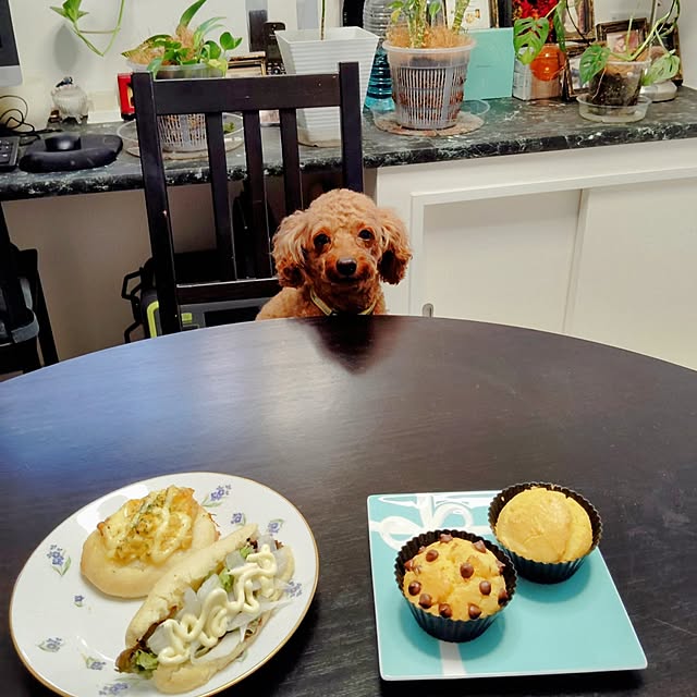 MOMOMAMAさんの部屋