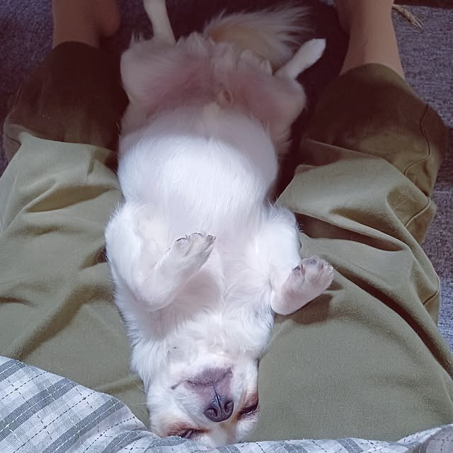 hiro-yさんの実例写真