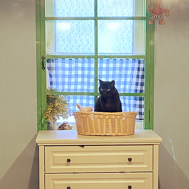 Asamiさんの実例写真