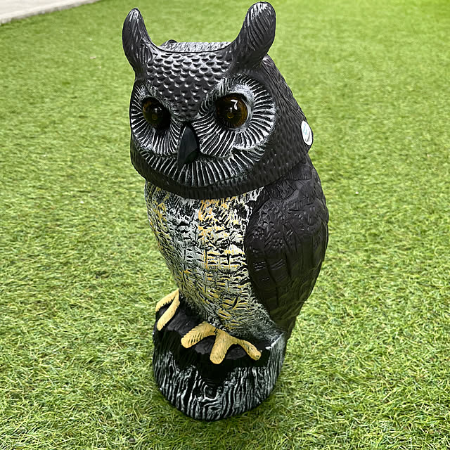 nachiさんの部屋
