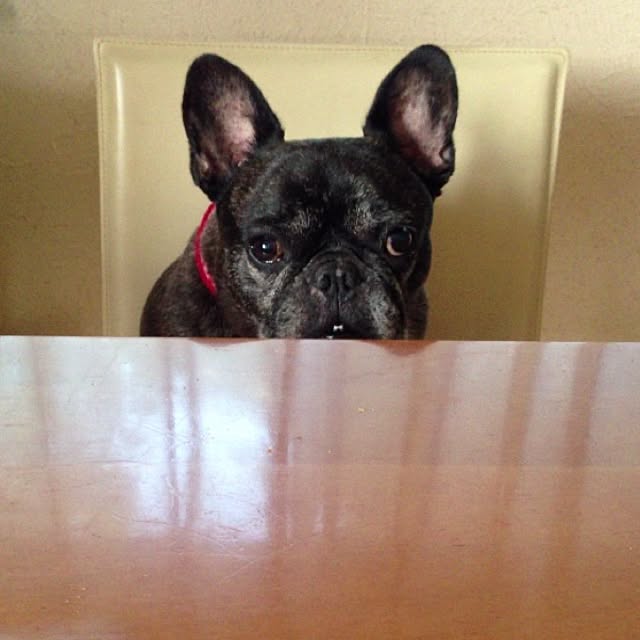 zymaさんの実例写真