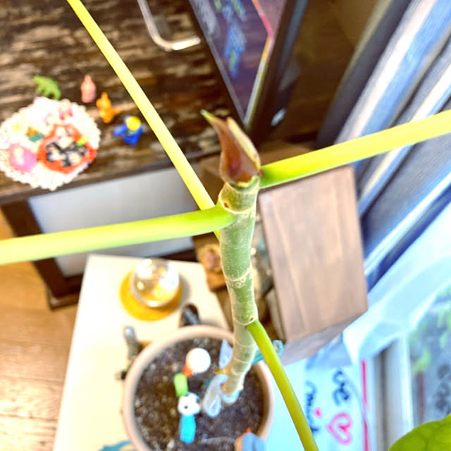 takakoさんの実例写真
