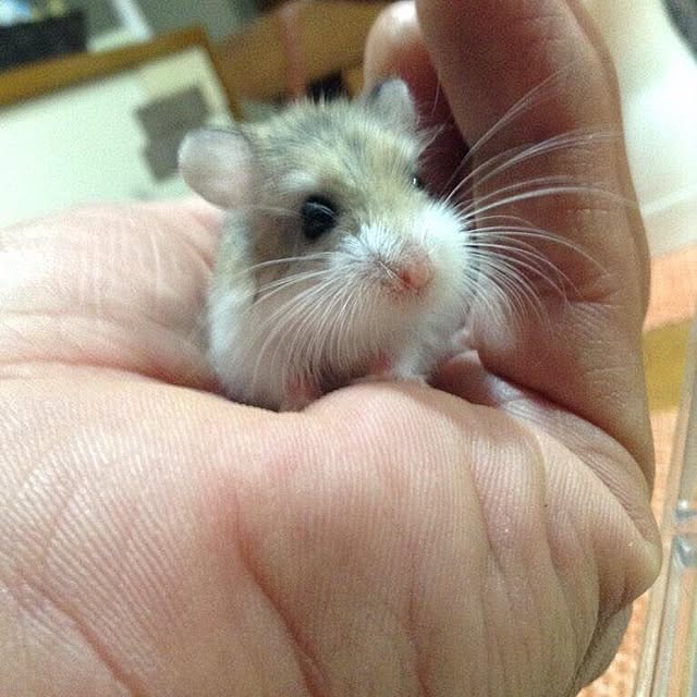 Jackyさんの実例写真
