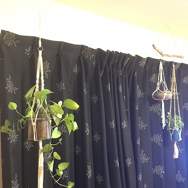 cheesemi22aさんの実例写真