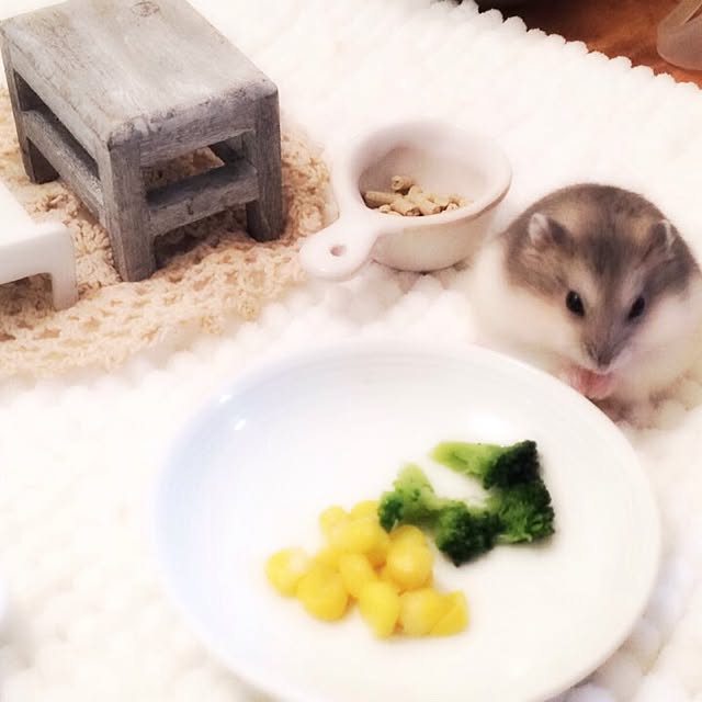 Hamutyaさんの実例写真
