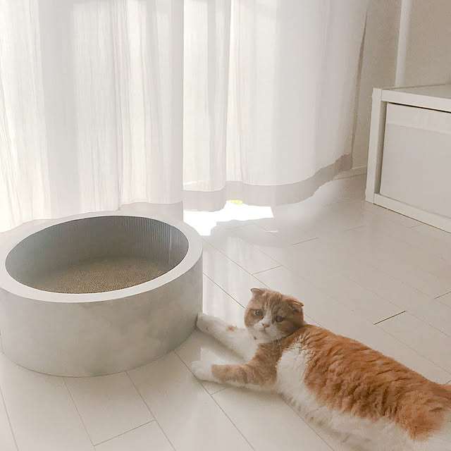 chamihomeさんの実例写真