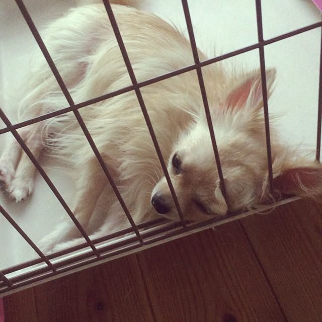 marigonさんの実例写真