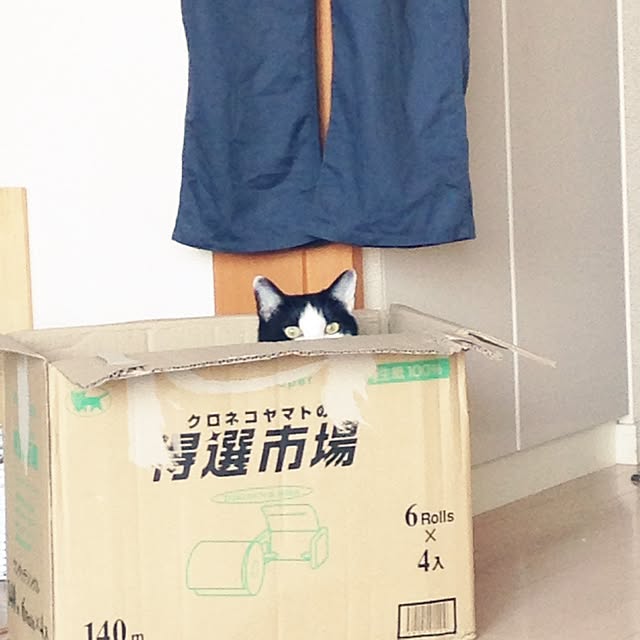 BOTANさんの実例写真