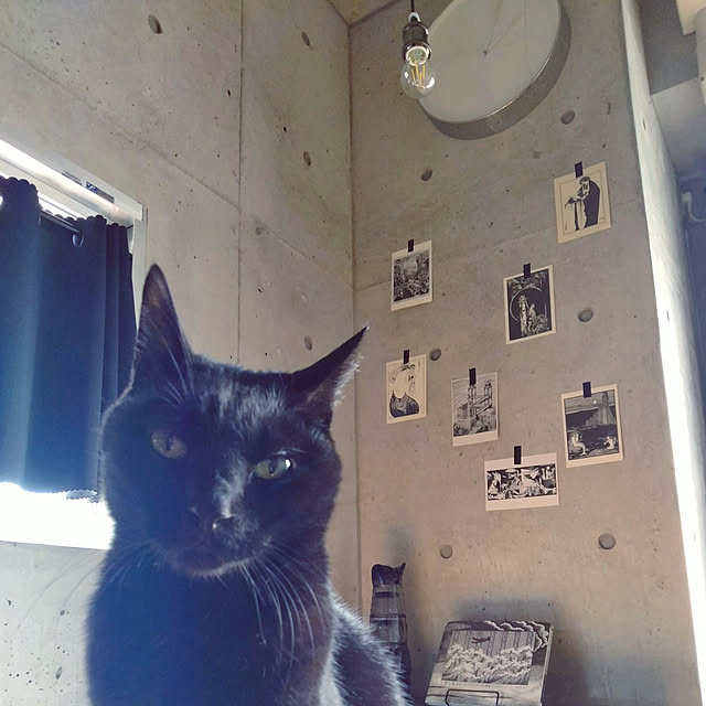 Kateさんの実例写真