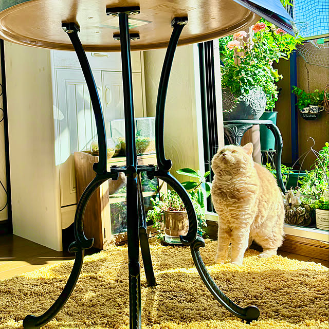 naokoさんの部屋