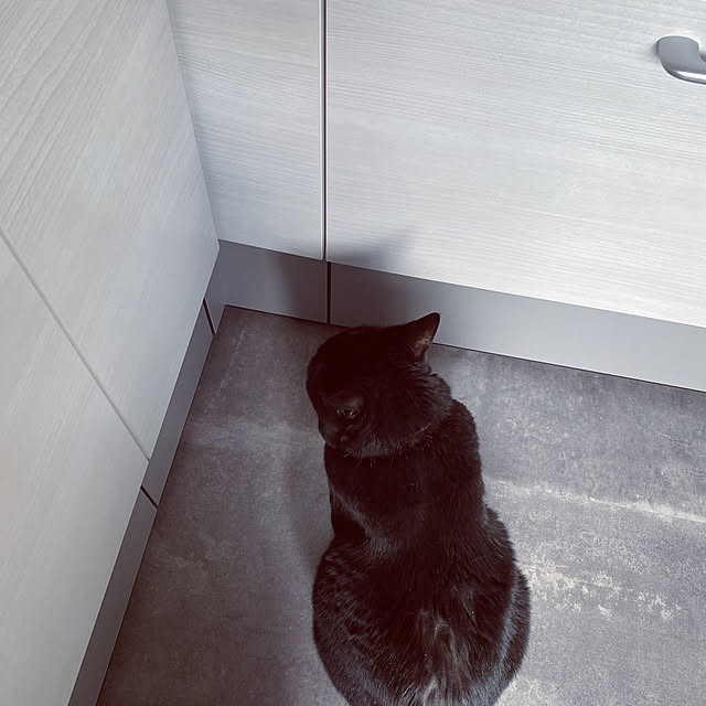 appoさんの実例写真