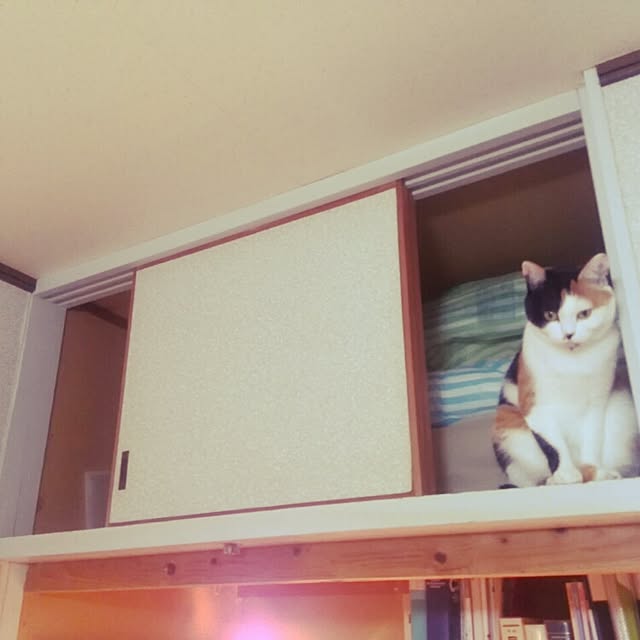 ukkarinskyさんの実例写真