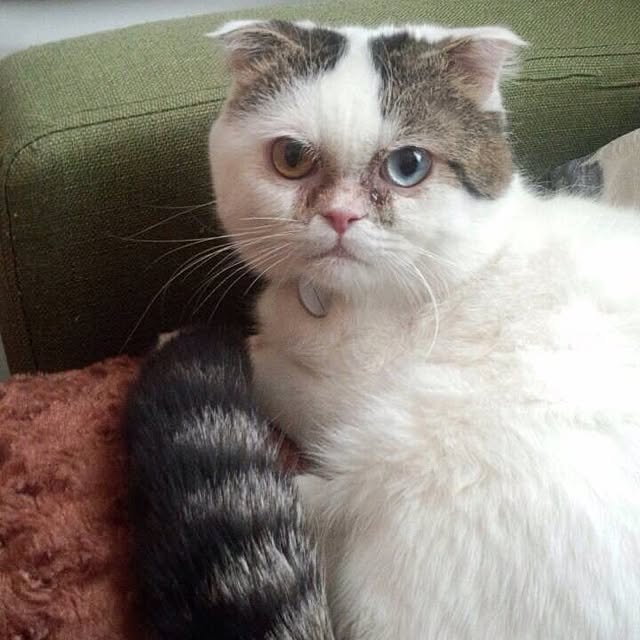 mikan0607さんの実例写真