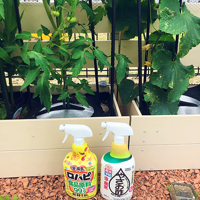 tomoさんの部屋