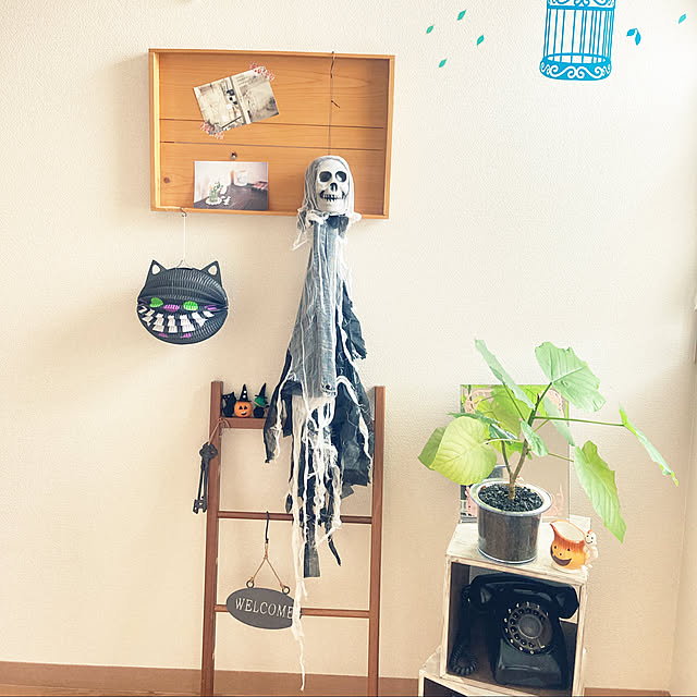 kaoさんの実例写真