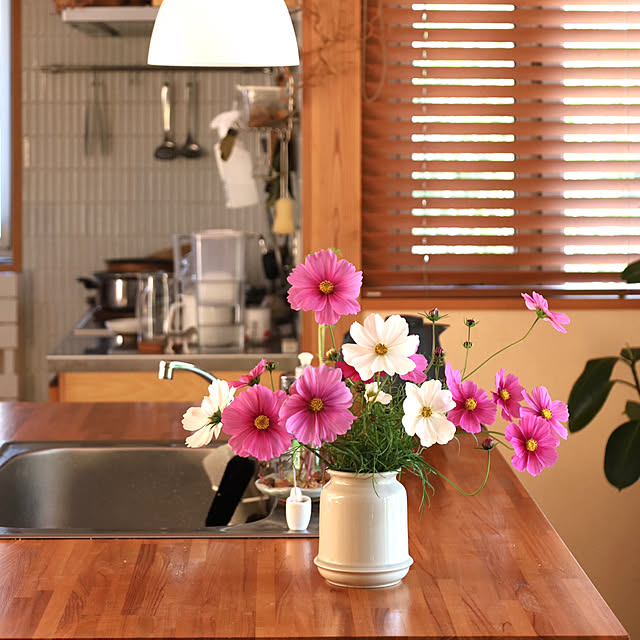 sugomoliさんの部屋