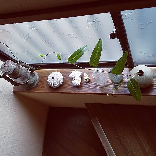 youkon1027さんの部屋