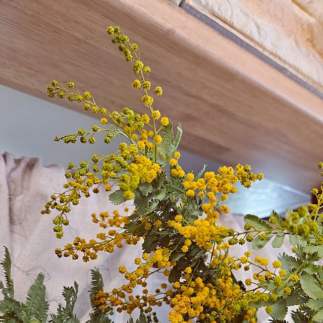 mocomocoさんの部屋