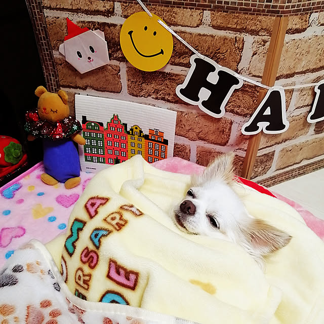 Ayarinさんの実例写真