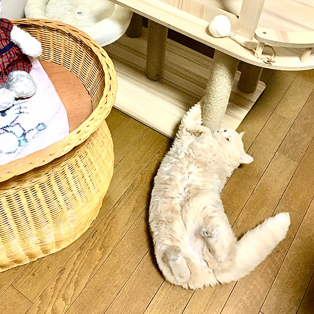 naokoさんの部屋