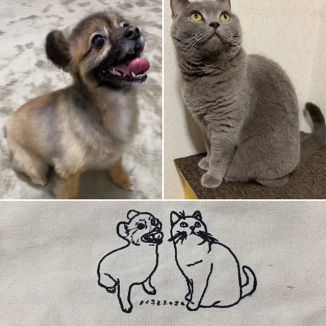 masaさんの実例写真