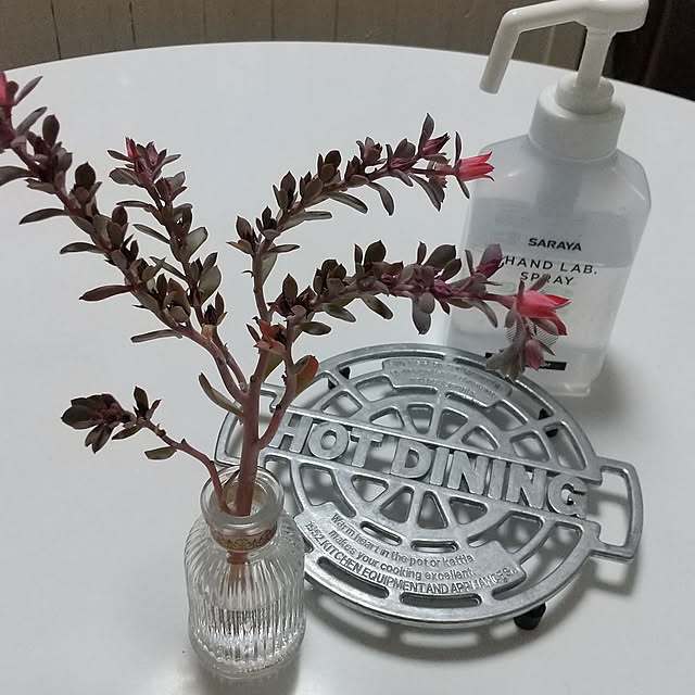 INDOORさんの実例写真