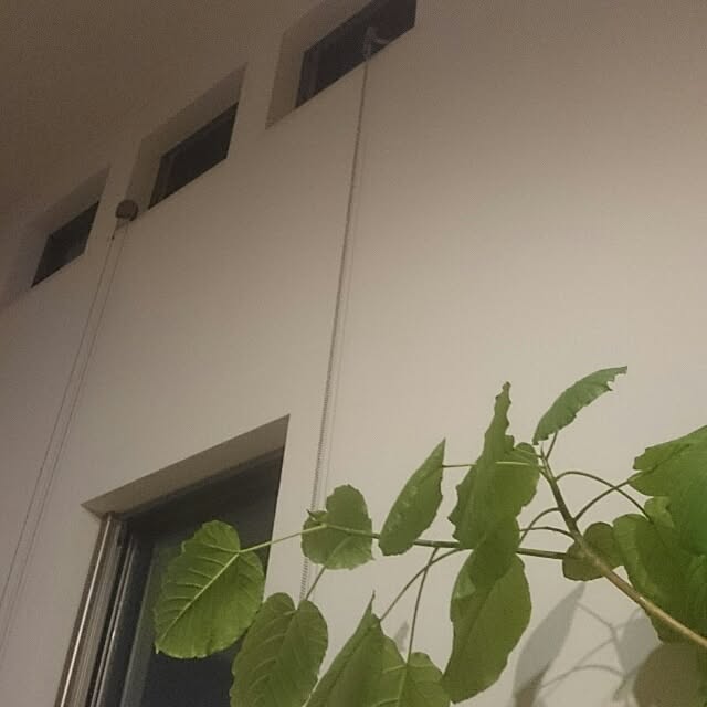 kikinanaさんの実例写真