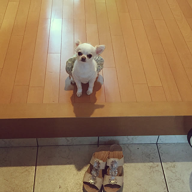 hananaさんの実例写真