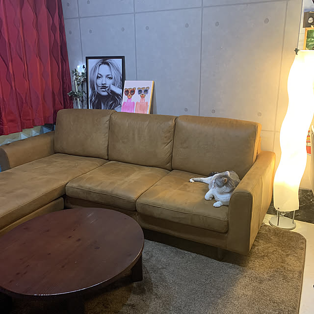 Soraさんの実例写真