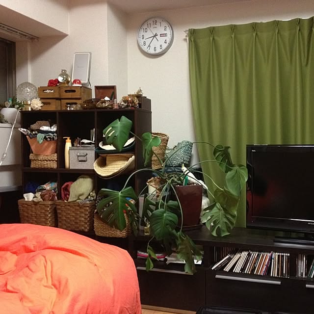 実例写真