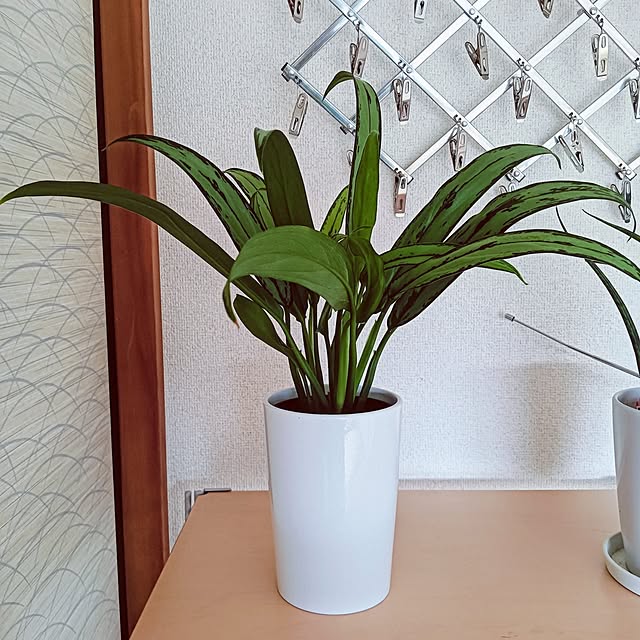 hanachanさんの実例写真
