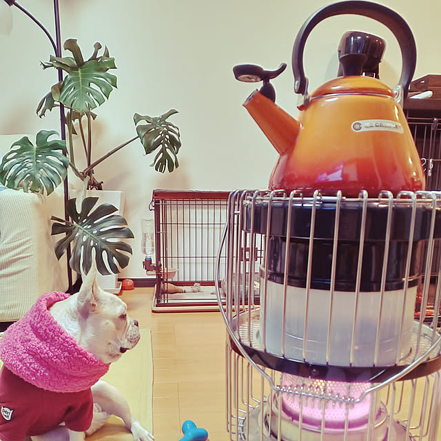 rabuさんの実例写真