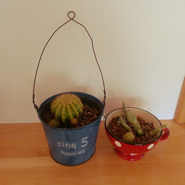 kometubuさんの実例写真