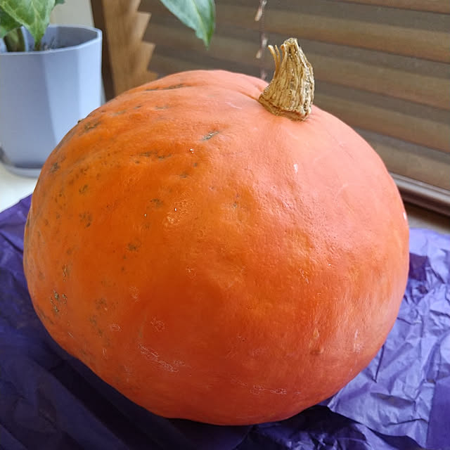 peanutさんの実例写真