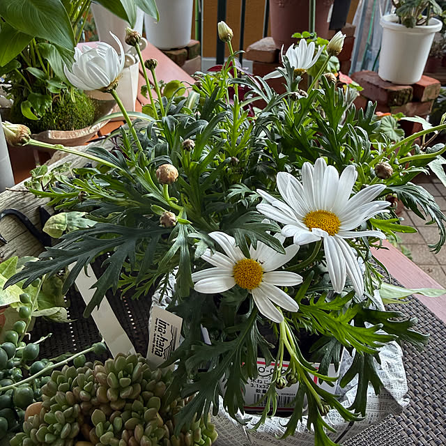 Aqettyさんの部屋