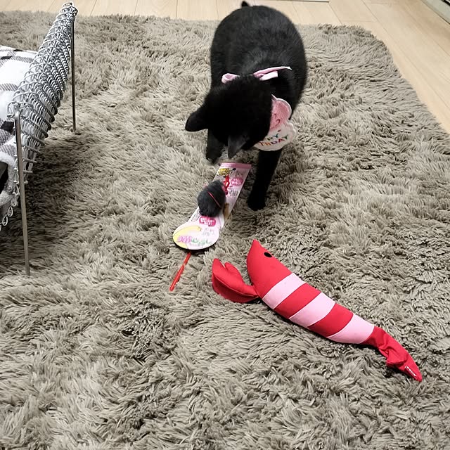 sakuraさんの実例写真