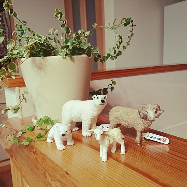 plumさんの実例写真