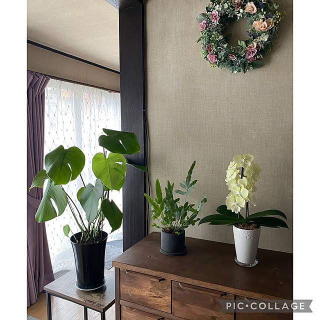 Smilkazuさんの部屋