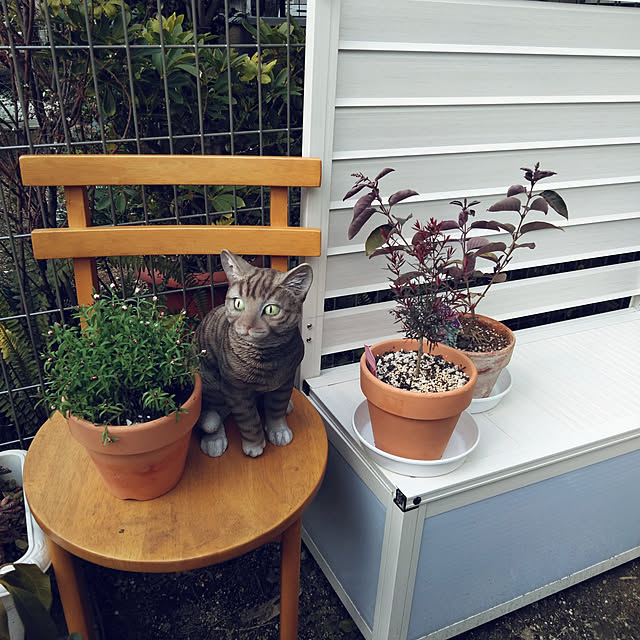 futukoさんの実例写真