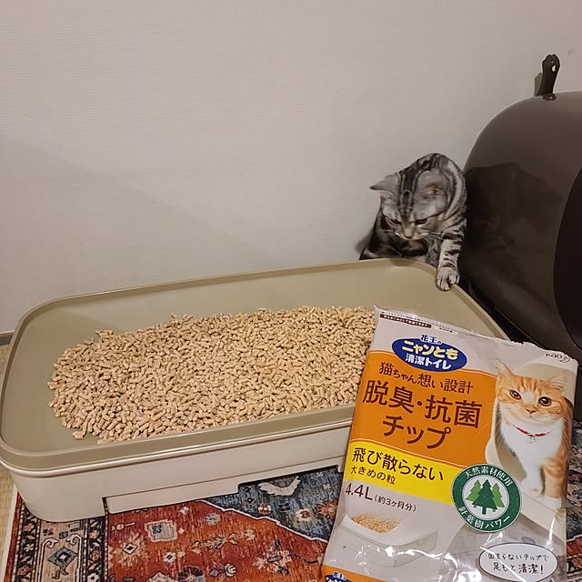 lovepeaceさんの部屋