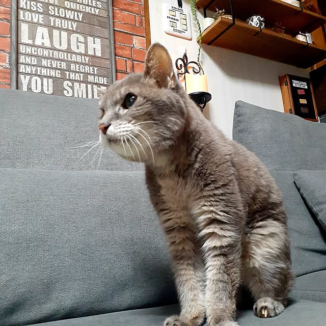 naoporonさんの部屋