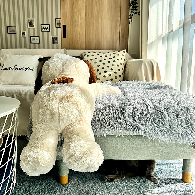 snoopyさんの部屋
