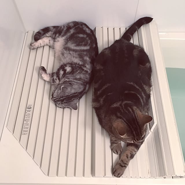 mikomaruさんの実例写真