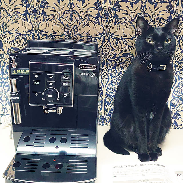 Stainさんの実例写真